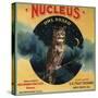 Nucleus Owl Brand - Ontario, California - Citrus Crate Label-Lantern Press-Stretched Canvas