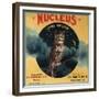 Nucleus Owl Brand - Ontario, California - Citrus Crate Label-Lantern Press-Framed Premium Giclee Print