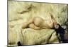 Nude, 1897-Giacomo Grosso-Mounted Giclee Print