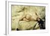 Nude, 1897-Giacomo Grosso-Framed Giclee Print