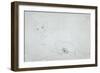 Nude, 1911-Egon Schiele-Framed Giclee Print