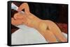Nude, 1917-Amedeo Modigliani-Framed Stretched Canvas