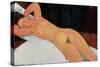 Nude, 1917-Amedeo Modigliani-Stretched Canvas
