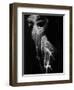Nude, 1978 (gelatin silver print)-Brett Weston-Framed Premium Photographic Print