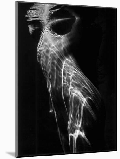 Nude, 1978 (gelatin silver print)-Brett Weston-Mounted Photographic Print