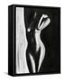 Nude 3-Nicky Kumar-Framed Stretched Canvas