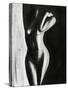 Nude 3-Nicky Kumar-Stretched Canvas