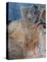 Nude 5601098-Pol Ledent-Stretched Canvas