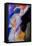 Nude 579020-Pol Ledent-Framed Stretched Canvas