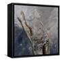 Nude 884120-Pol Ledent-Framed Stretched Canvas