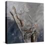 Nude 884120-Pol Ledent-Stretched Canvas