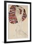 Nude Against Coloured Material, 1911-Egon Schiele-Framed Giclee Print