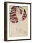 Nude Against Coloured Material, 1911-Egon Schiele-Framed Giclee Print