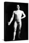 Nude Bodybuilder-null-Stretched Canvas