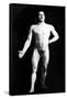 Nude Bodybuilder-null-Framed Stretched Canvas