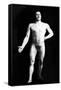 Nude Bodybuilder-null-Framed Stretched Canvas