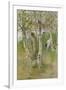 Nude Boy among Birches, 1898-Carl Larsson-Framed Giclee Print