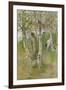 Nude Boy among Birches, 1898-Carl Larsson-Framed Giclee Print