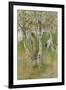 Nude Boy among Birches, 1898-Carl Larsson-Framed Giclee Print