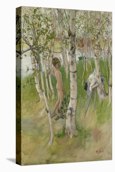 Nude Boy among Birches, 1898-Carl Larsson-Stretched Canvas