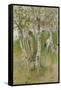 Nude Boy among Birches, 1898-Carl Larsson-Framed Stretched Canvas