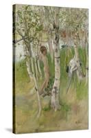 Nude Boy among Birches, 1898-Carl Larsson-Stretched Canvas