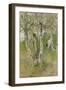 Nude Boy among Birches, 1898-Carl Larsson-Framed Giclee Print
