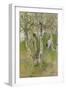 Nude Boy among Birches, 1898-Carl Larsson-Framed Giclee Print