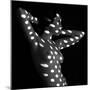 Nude dots-Jan Blasko-Mounted Photographic Print