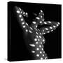 Nude dots-Jan Blasko-Stretched Canvas