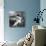 Nude Drinking Tea, 19Th Ct-null-Photographic Print displayed on a wall