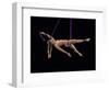 Nude female acrobat-Panoramic Images-Framed Photographic Print