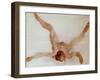 Nude Female Lying on Her Back-Auguste Rodin-Framed Giclee Print