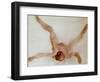 Nude Female Lying on Her Back-Auguste Rodin-Framed Giclee Print