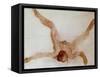 Nude Female Lying on Her Back-Auguste Rodin-Framed Stretched Canvas