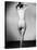 Nude Female Seen from the Back-null-Stretched Canvas