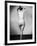 Nude Female Seen from the Back-null-Framed Photographic Print