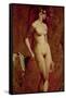 Nude Female Standing-William Etty-Framed Stretched Canvas