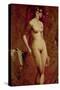 Nude Female Standing-William Etty-Stretched Canvas