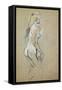 Nude Girl, 1893 (Oil on Card)-Henri de Toulouse-Lautrec-Framed Stretched Canvas