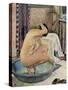 “Nude in a basin “, 1922-Theo van Rysselberghe-Stretched Canvas