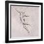 Nude in Action-John Singer Sargent-Framed Giclee Print