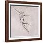 Nude in Action-John Singer Sargent-Framed Giclee Print