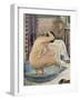 Nude in the Bath-Théo van Rysselberghe-Framed Art Print