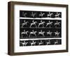 Nude Man Riding Horse-null-Framed Photographic Print