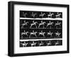 Nude Man Riding Horse-null-Framed Photographic Print