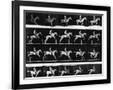 Gramercy Black