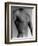 Nude Man's Torso-Cristina-Framed Photographic Print