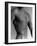 Nude Man's Torso-Cristina-Framed Photographic Print