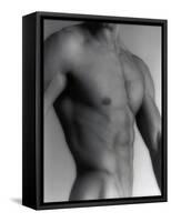 Nude Man's Torso-Cristina-Framed Stretched Canvas